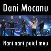 Nani nani puiul meu - Dani Mocanu