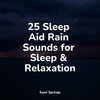 Wet Glass Rains - Best Relaxing Spa Music&Rain Spa&Rain Hard