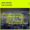 The Calling (Bason Journe Radio Mix) - Mike Meade