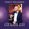Copilasii Mei - Ionut Eduardo