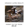 Organic Ultra Reality - Rabbit on the Moon&PiK