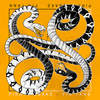 Yin Yang (Remix I Radio Edit) - Pirate Snake