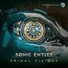 What Can You Do (Original Mix) - Sonic Entity&Zyce