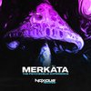 The Psychedelic Experience - Merkäta