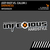 Darkness (Defector Remix|Explicit) - Joey Riot&Calum J.&Defector