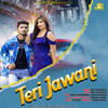 Teri Jawani - Sonu Khudaniya&Varsha Bishnoi&Rahul Chhaperwal
