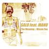 The Meaning (Radio Mix) - Salo&Manu