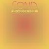 Unbuttered Body - Loula Cani