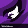 Carrousel Of Madness (Original Mix) - Giuliano Daniel