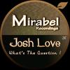 What's The Question ! (Original Mix) - Josh Love