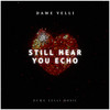 Still Hear You Echo - Dawe Velli