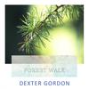 Darn That Dream - Dexter Gordon