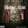 Dunkler Wald (feat. King Mac 10 & Darko) (Explicit) - Rain666&King Mac 10&Darko