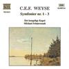 I. Allegro con spirito - Royal Danish Orchestra&Michael Schønwandt