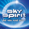Did You Find Out (Club Sky Remix) - Sky Spirit