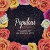 Ending Loop - Populous