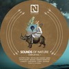The Way - Andrés Moris