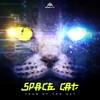 Loops of Insanity - Space Cat