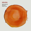 Open Opus 5 - Søren Kjærgaard&Ben Street&Andrew Cyrille