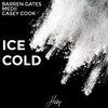 Ice Cold (feat. Casey Cook) - Barren Gates&Medii&Casey Cook