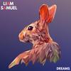 Dreams - Liam Samuel&WildVibes&Jay Eskar