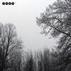 2t Pro Quadratmeter - Dreher&Smart