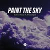 Paint The Sky - Damien Reign&Missjudged&Zdeněk Vítek