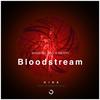 Bloodstream(Original Mix） - HINA