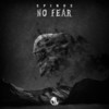 No Fear - Spinus