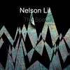 The Spot - Nelson Lil&Young