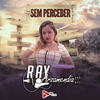 Sem Perceber - DJ Alle Mark&Ray  Arzamendia