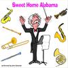 Sweet Home Alabama - John Edwards
