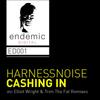 Cashing In (Elliot Wright's Cash Bonus Remix) - Harnessnoise