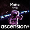 Syzygy (Original Mix) - Metta