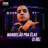 Mandelão pra Elas (Explicit) - DJ Bill&Ricardo Silva Magalhaes