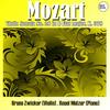 Violin Sonata No. 26 in B Flat major, K. 378: III. Rondo: Allegro - Bruno Zwicker&Rosel Molzer