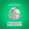 Flying Whales (Extended Mix) - Kir Tender