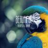 Beautiful (Radio Edit) - Poenitsch&Jakopic