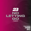 No Letting Go(Torn 2) (Explicit) - 23 Unofficial&Sharna Bass