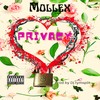 Privacy (Explicit) - MOLLEX