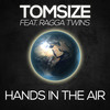 Hands In The Air - Tomsize&Ragga Twins