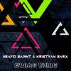Wrong Thing - Heavid Saihnt&Kristyan Barx