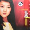 美丽神奇的地方 (伴奏) - 张燕