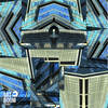 Bouteloua Hirsuta - Hard Fix