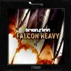 Falcon Heavy - Brian Flinn