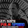 Palm Spring (Spring 2010 Remix) - Alex Bianchi Dj