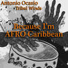 Because I'm Afro-Caribbean (Original Mix) - Antonio Ocasio