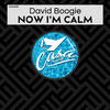Now I'm Calm - David Boogie