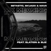My Meaning (Extended Mix) - BETASTIC&Skuado&Mavii&Elation&Eliz