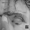 Split - BugMan&CEM Records